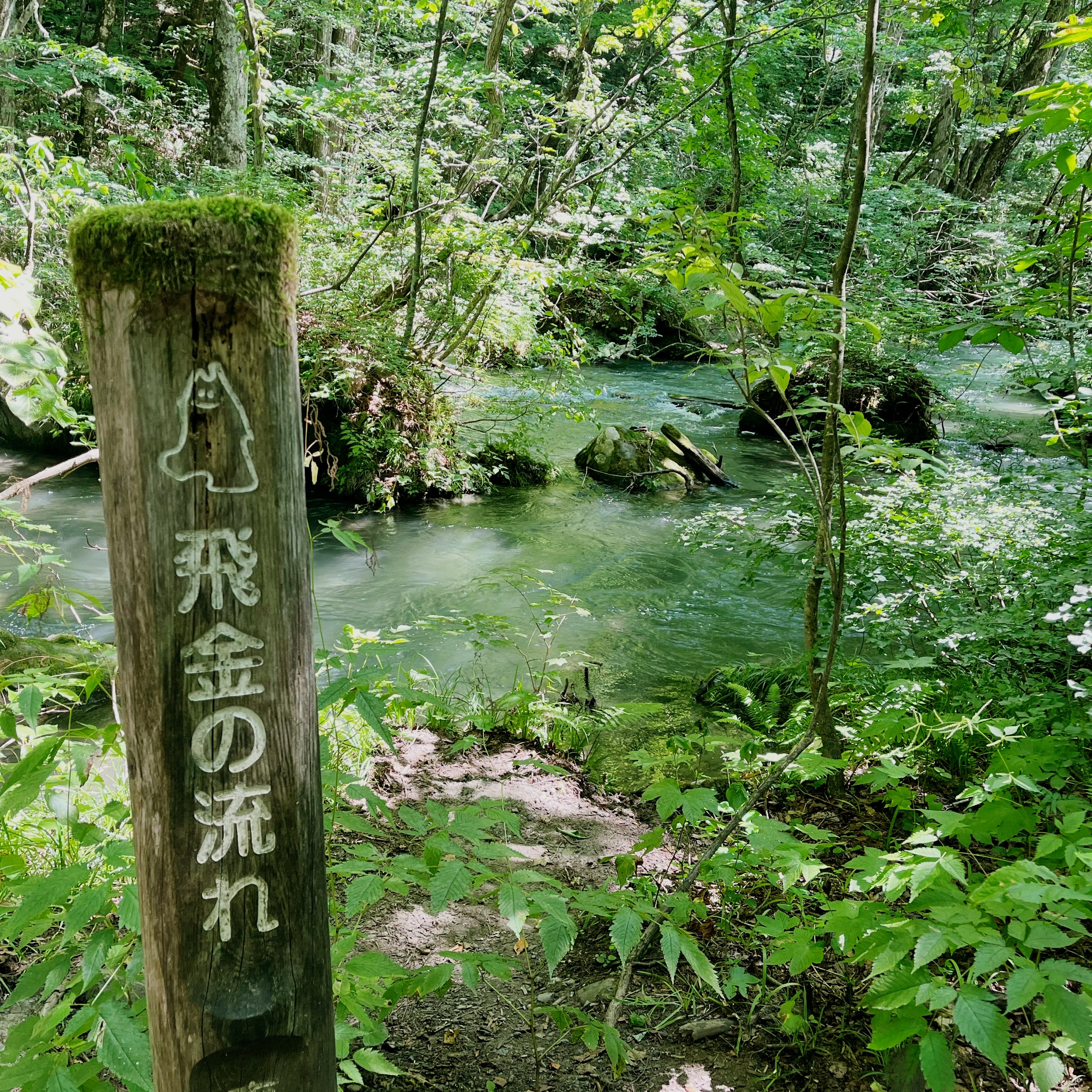徒步穿越Oirase流到Towada湖