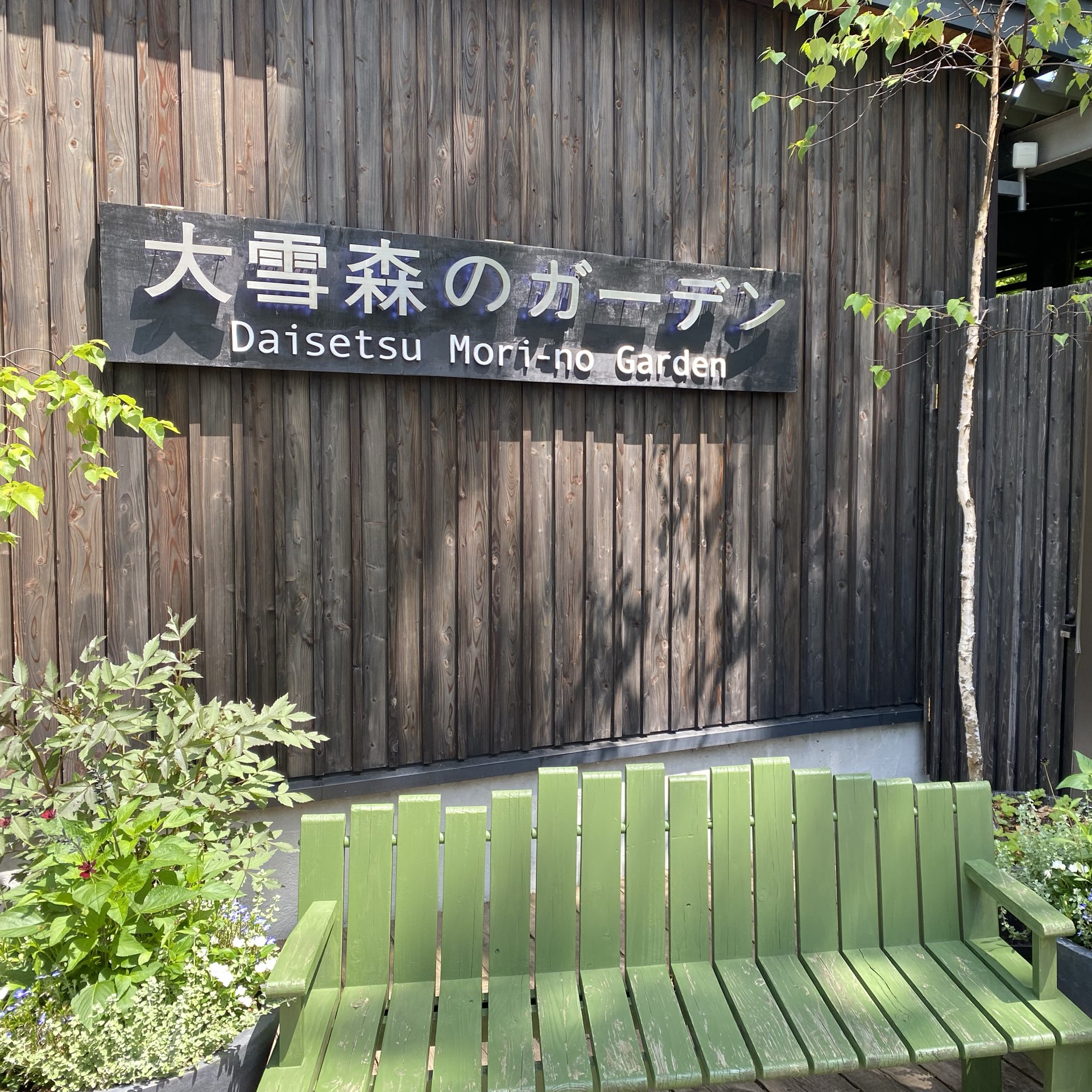 北海道大雪森之花园:夏日梦幻花海之旅
