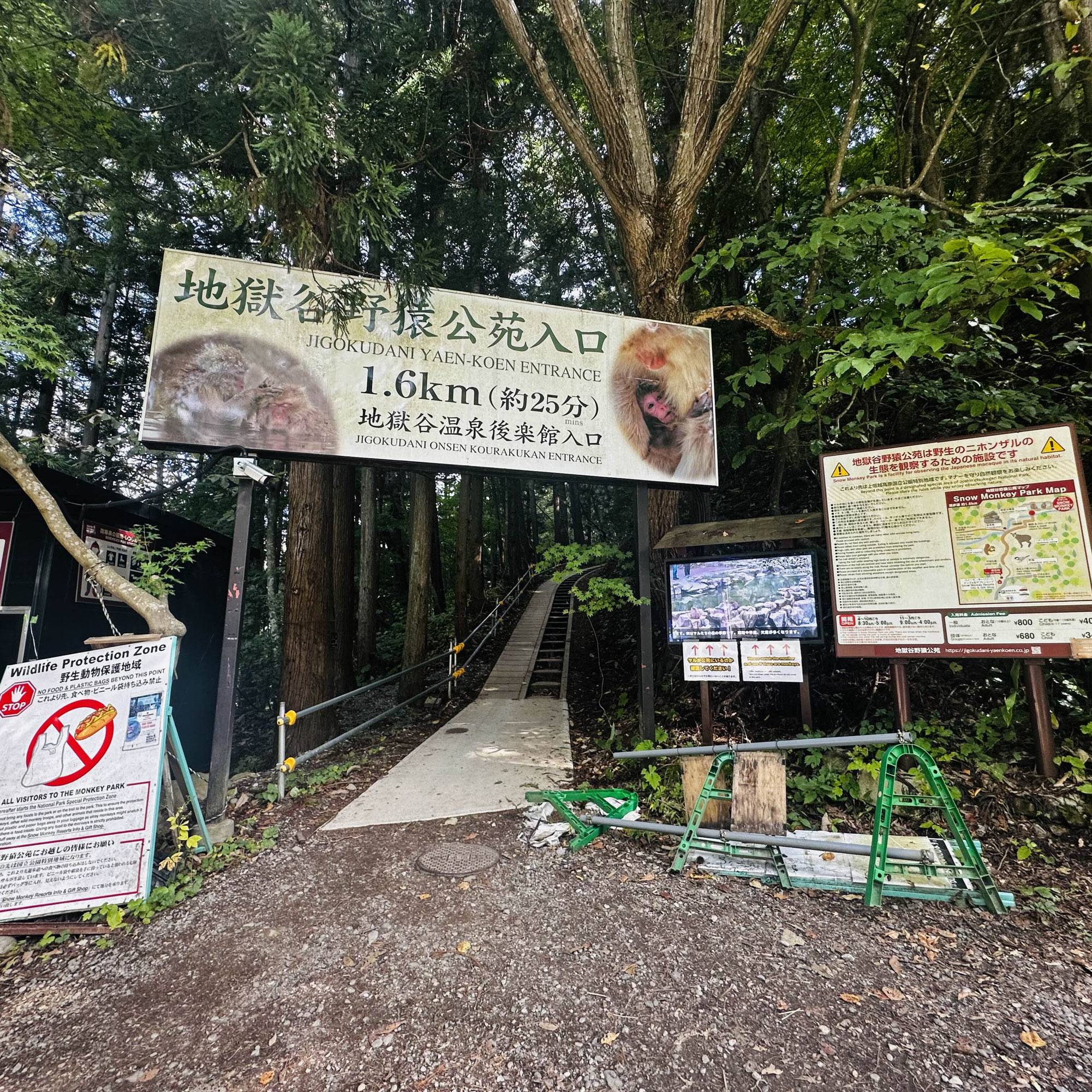 生活清单 - 长野的雪猴公园