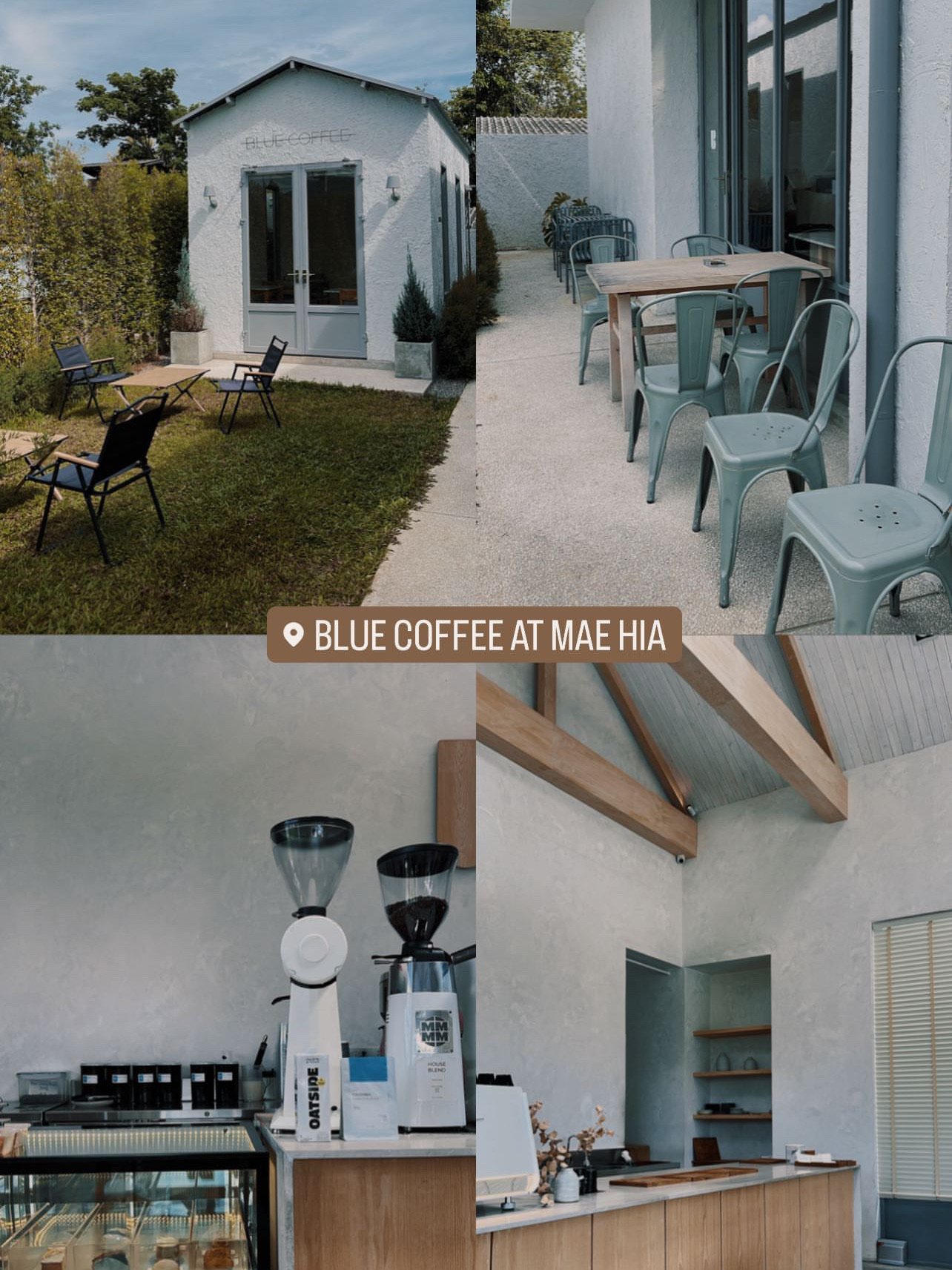 Blue Coffee Mae Hin🌲🍁
