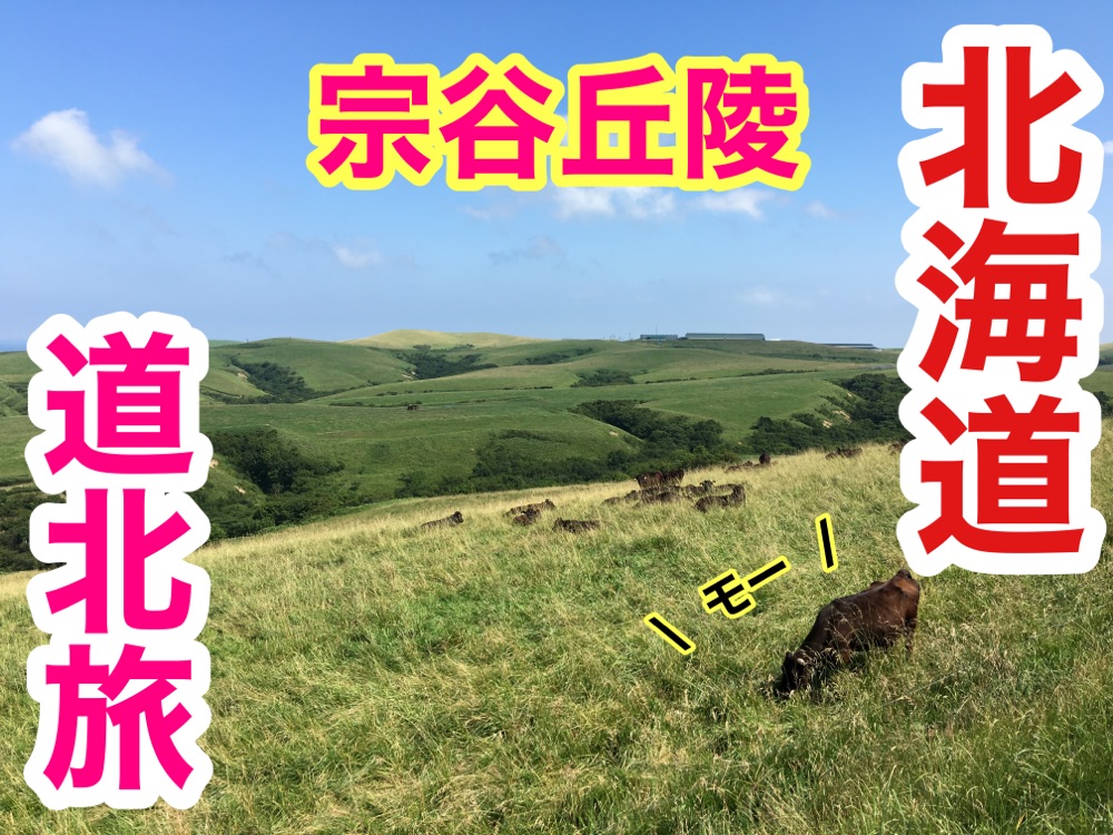 北海道北海道观光北海道这就是北海道!大谷山的壮丽景色给我留下了深刻的印象!