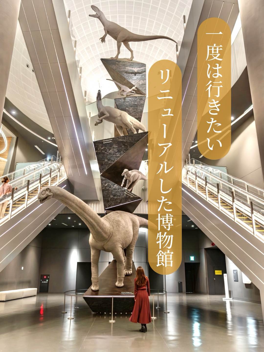【福井县/胜山市】7月更新!世界三大恐龙博物馆