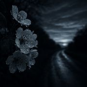 Lan🌏旅行随手记