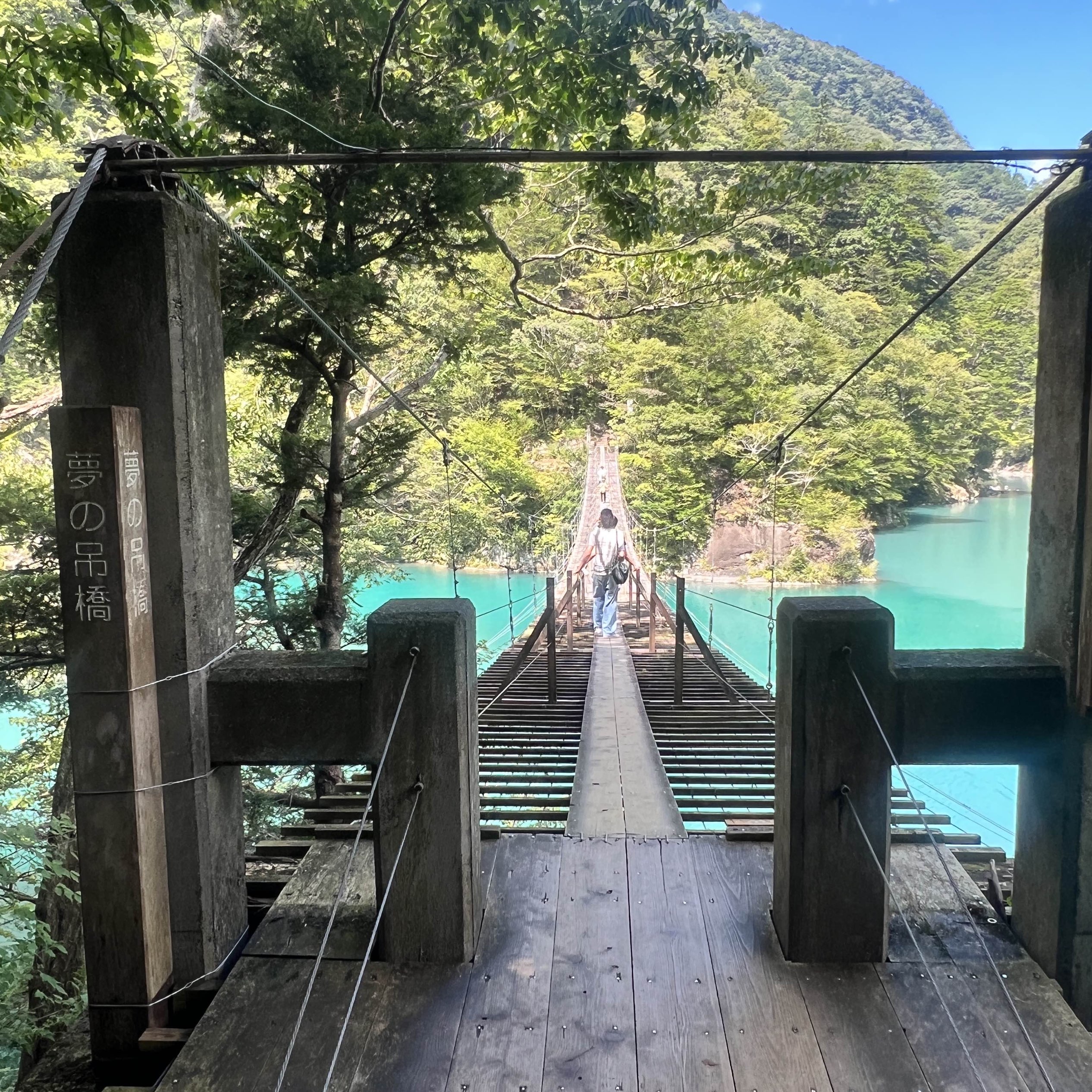 [静冈]脚要小心‼️穿越壮观的吊桥✨