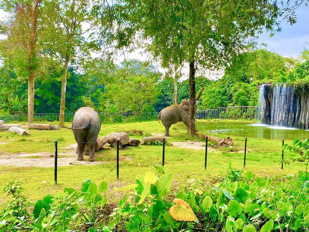 吉隆坡内加拉动物园