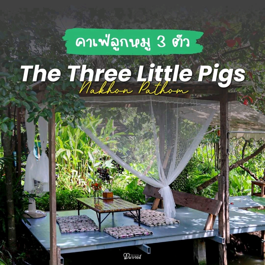三只小猪咖啡馆佛统 
花园里的气氛很阴暗🐷🐷🐷