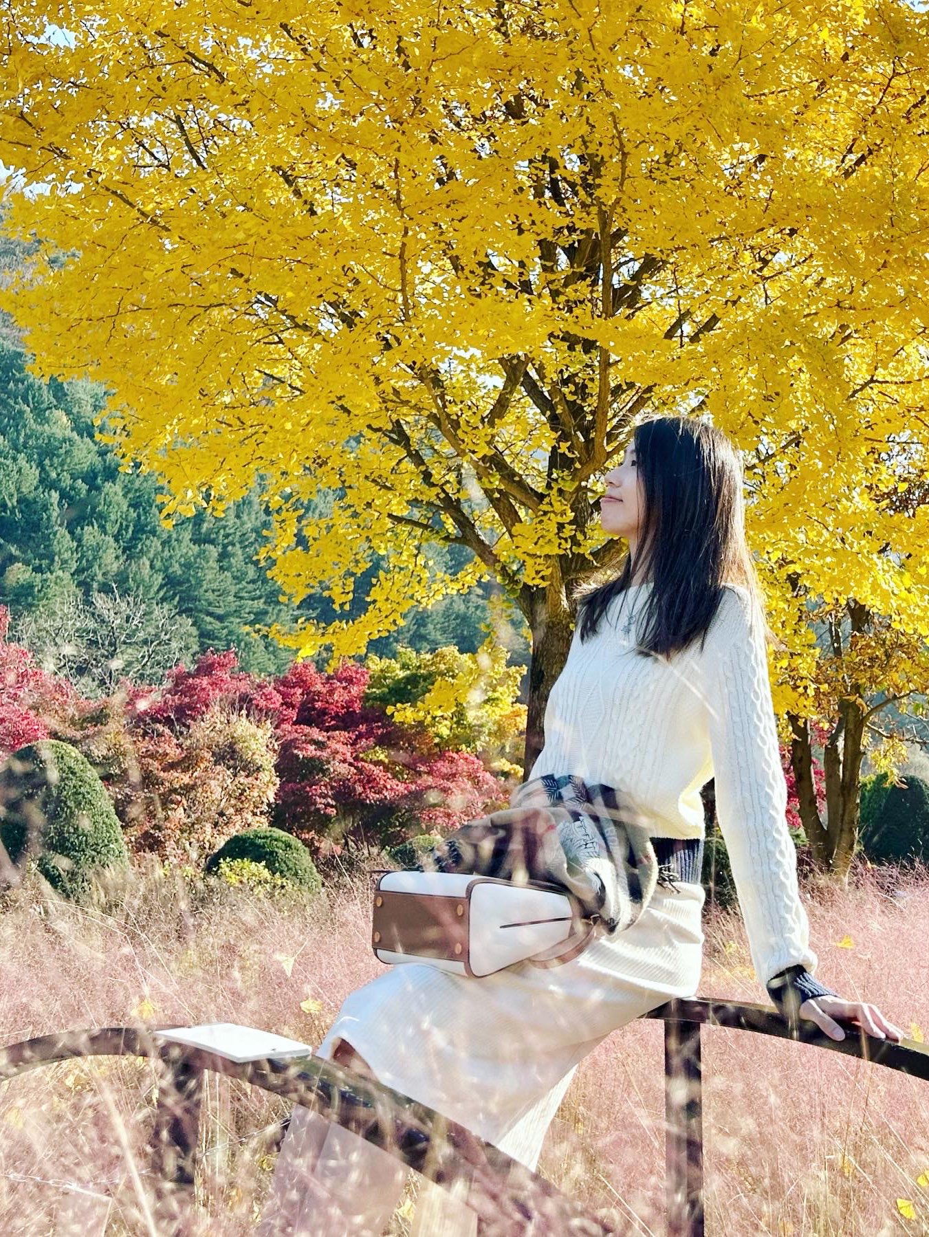 韩国🇰🇷晨静树木园欣赏秋季大自然美景🍁
