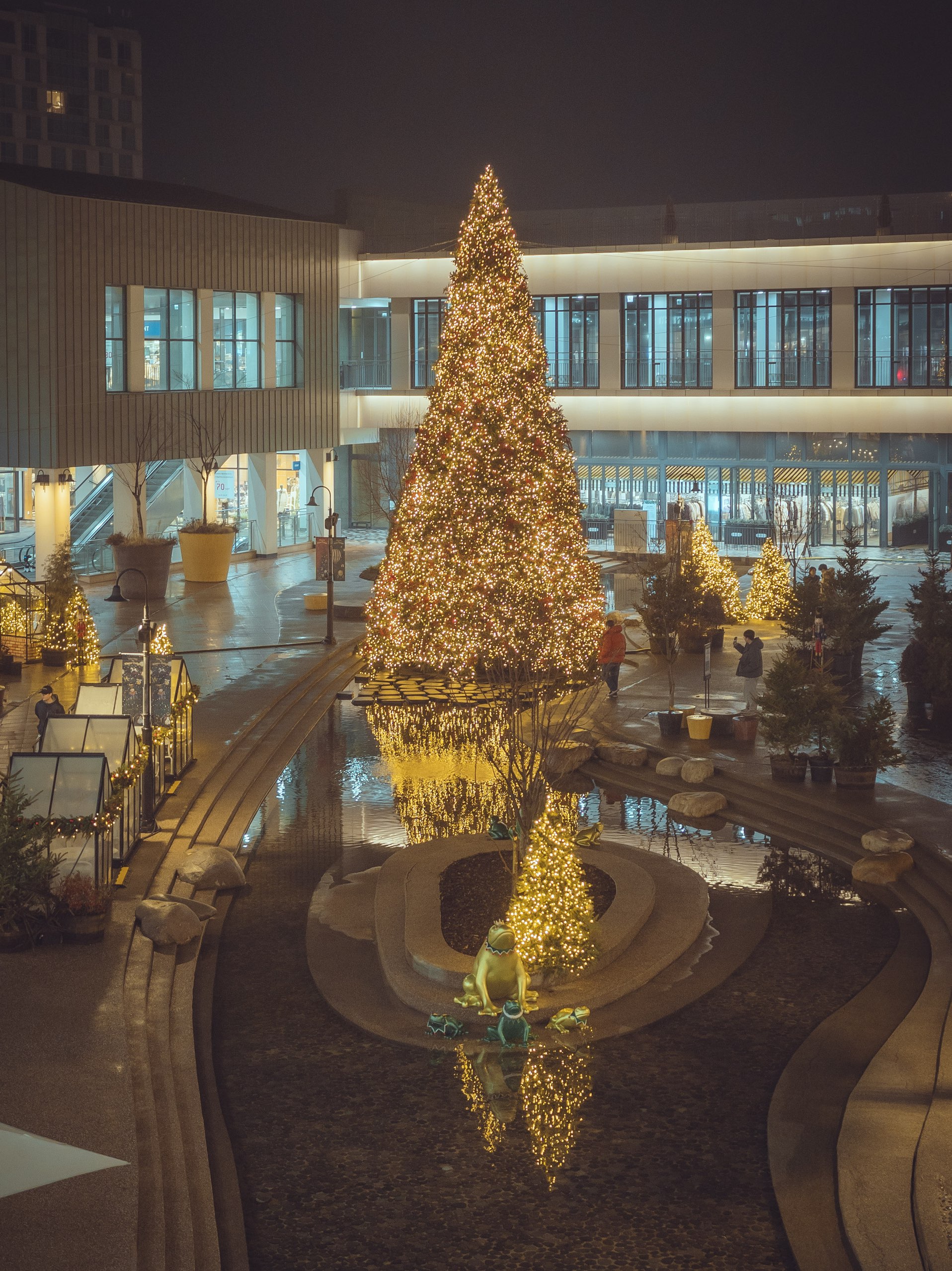 可以看到大型圣诞树反映的“金浦现代高级奥特莱斯”