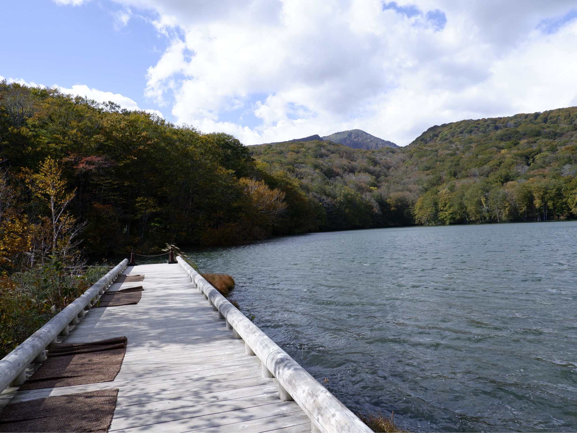 「秋季十和田湖游」- 茑七沼观枫，可惜不是时候