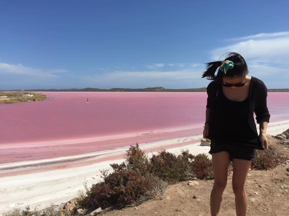 西北澳丨西北澳粉红湖真的粉吗？梦幻粉红湖Hutt Lagoon