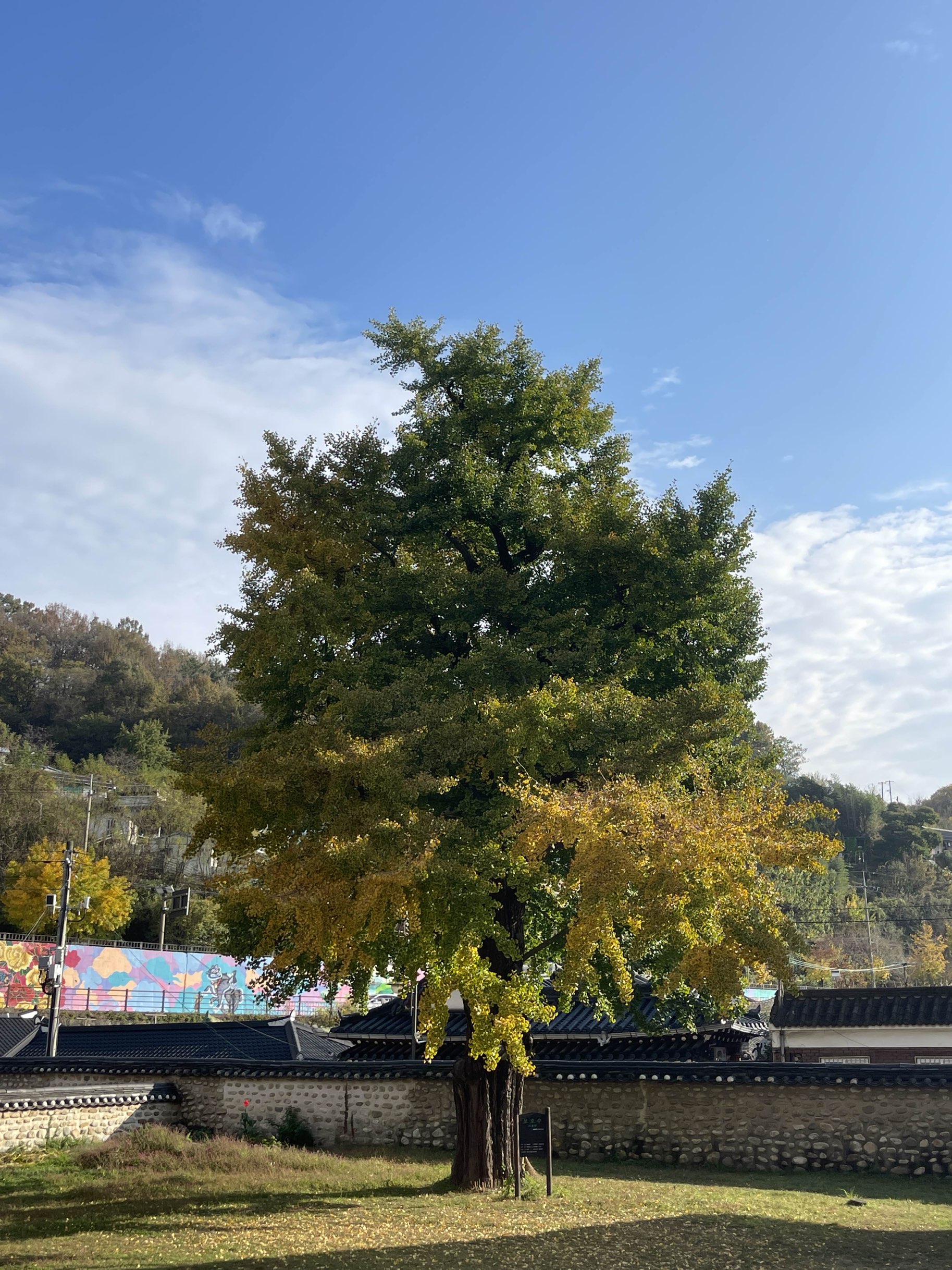 全州香桥,因秋天的全州枫叶而闻名