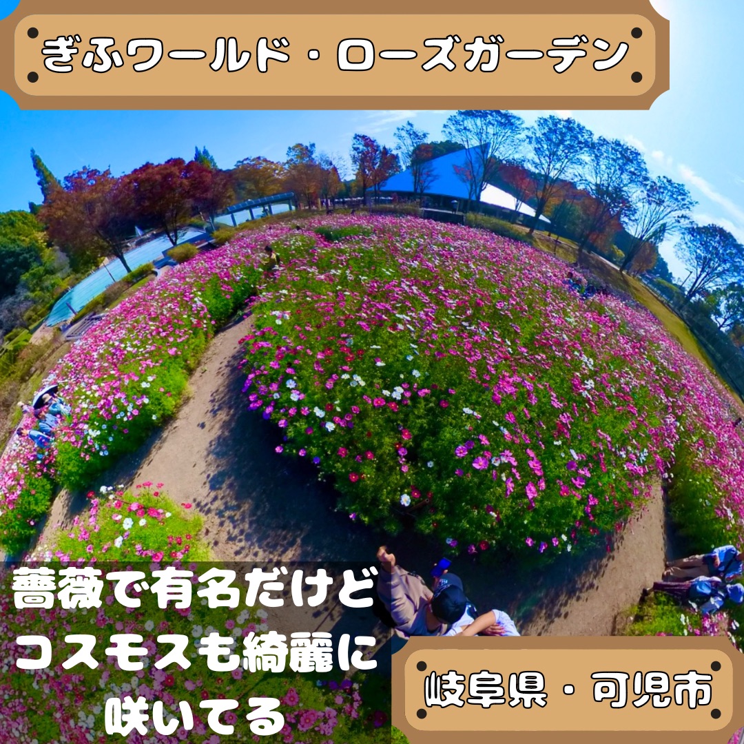 岐阜世界玫瑰花园