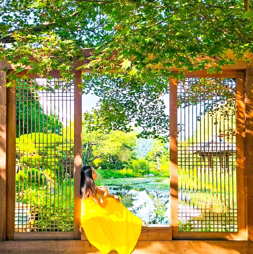 黄裙💛美丽的花园🌿这是一幅画!