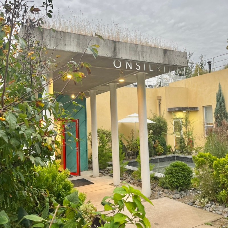 宽敞的庭院和植物的观赏咖啡厅温室