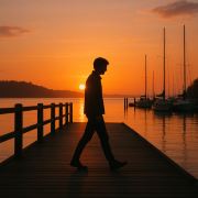 在路上の猫酱🐱