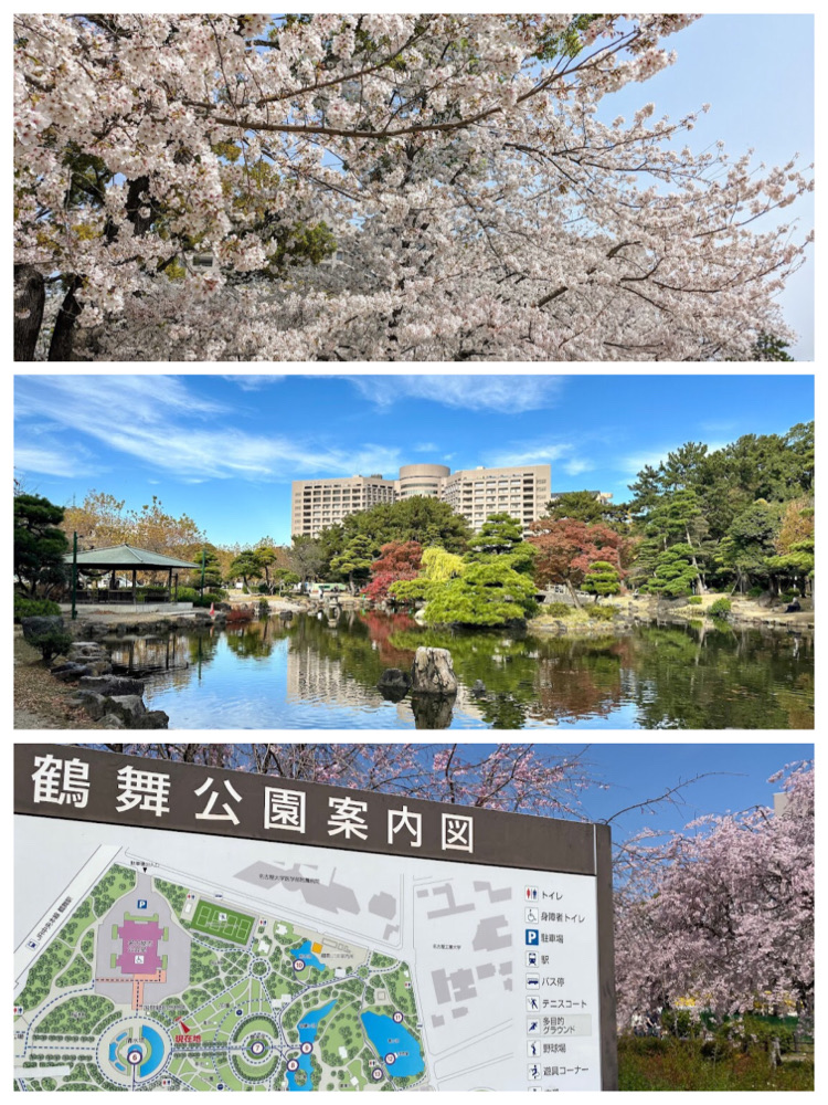 【名古屋】樱花季限定!