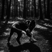 行走の骆驼·旅行家