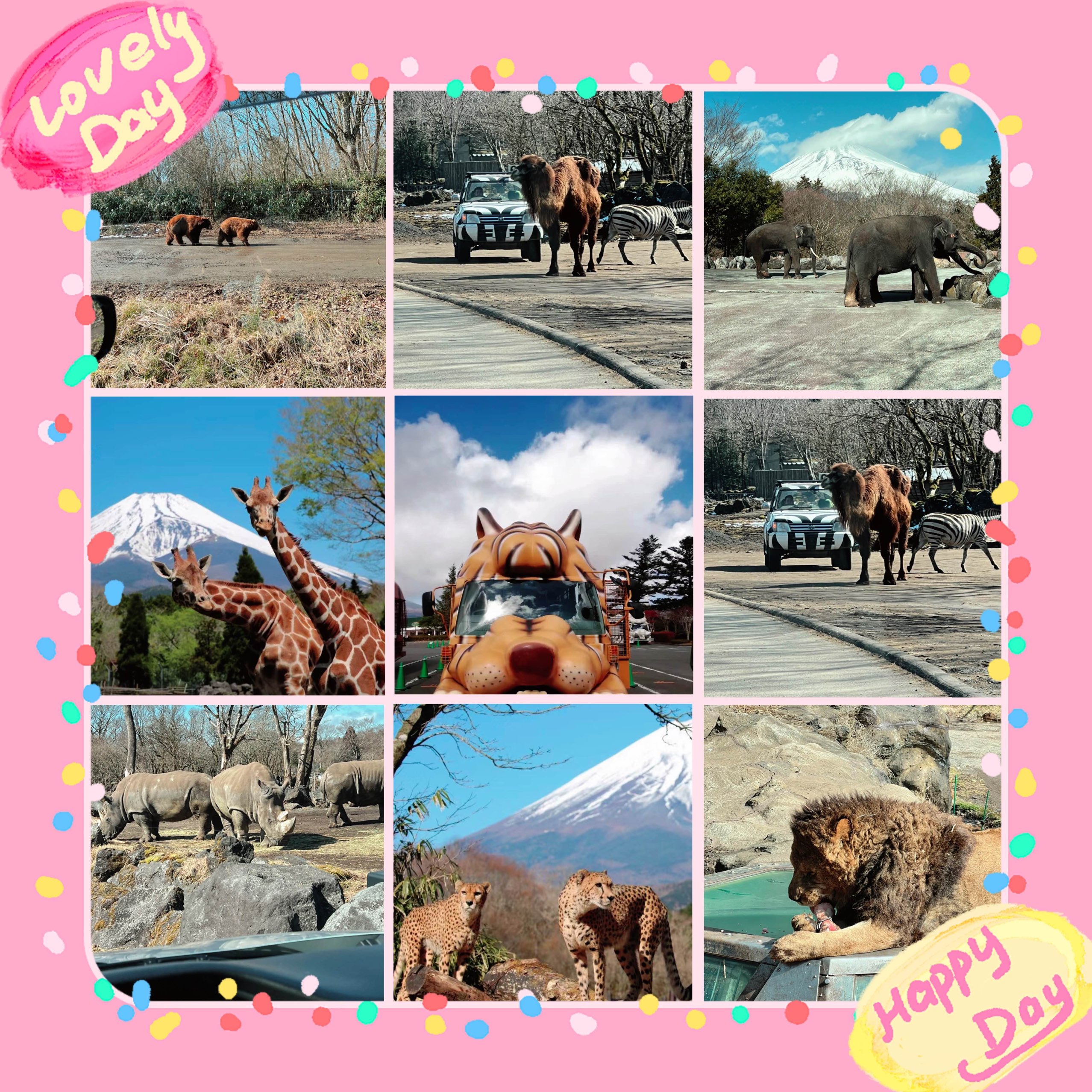 动物快乐时光！静冈市立日本平动物园的动物王国！🦁🐼