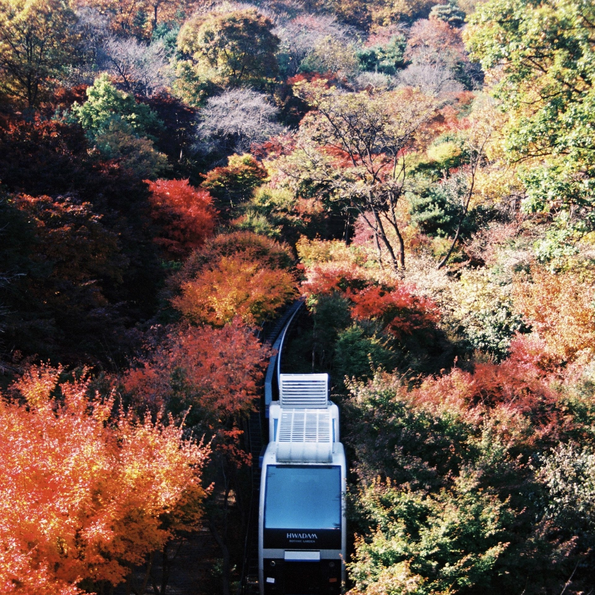 去首尔近郊看秋天的枫叶~花潭森林!