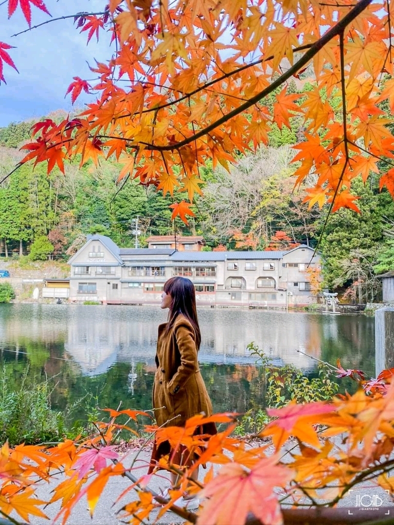 金林湖九州的秋叶观景点