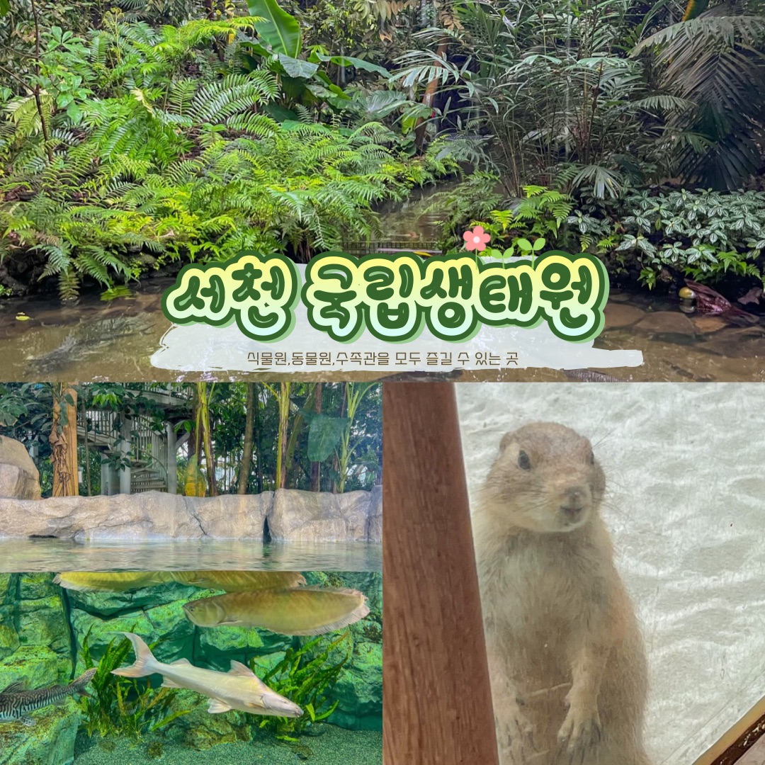 一次可以享受动物园、植物园、水族馆的旅行地!