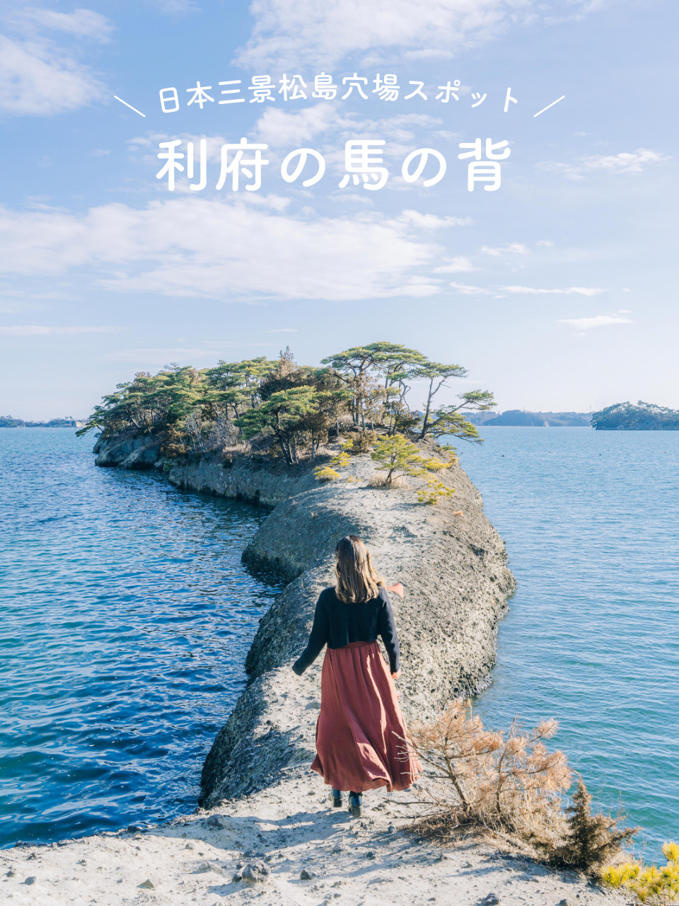 [宫城]你知道吗? ☺️日本三景松岛的绝景景点🏖️☀️