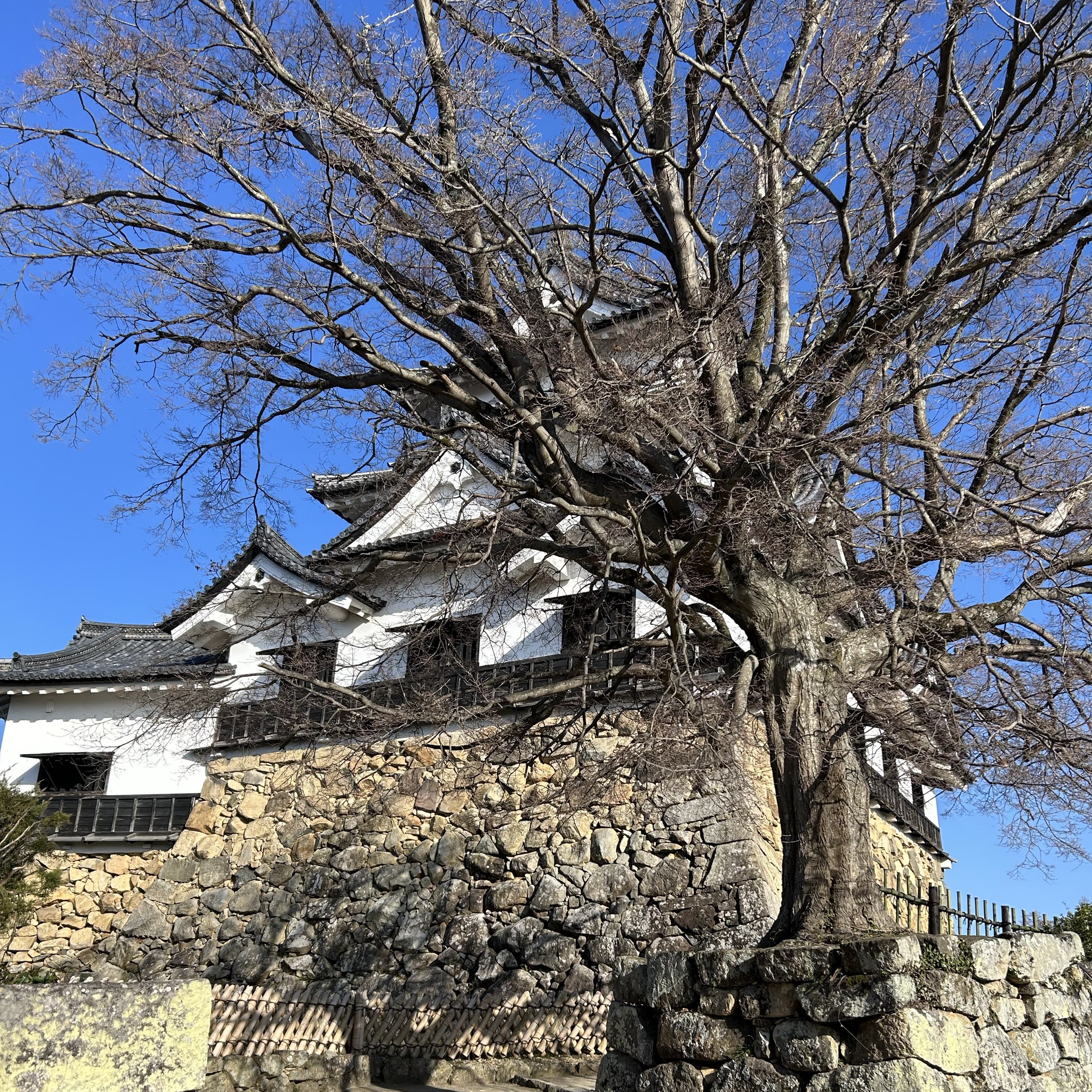 在古堡上鸟瞰古镇