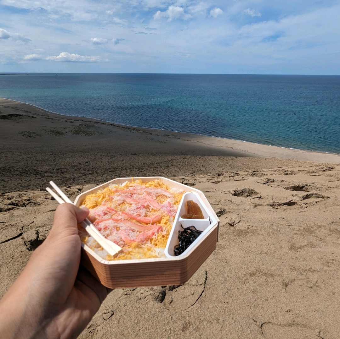 鸟取沙丘边看海边吃蟹饭是最好的!