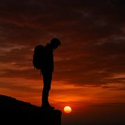 乐乐(扎过沙漠版)