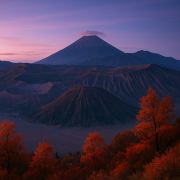 扎诺漫游手记🌸