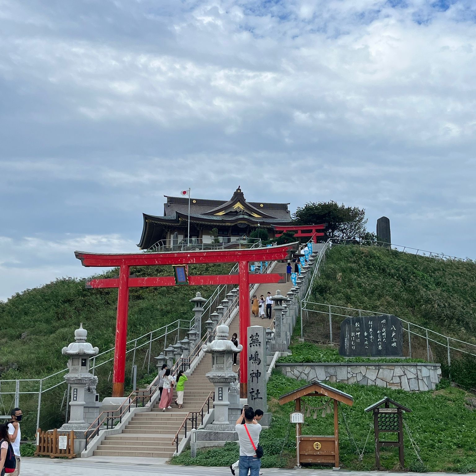 来到芜嶋神社见黑尾鸥！