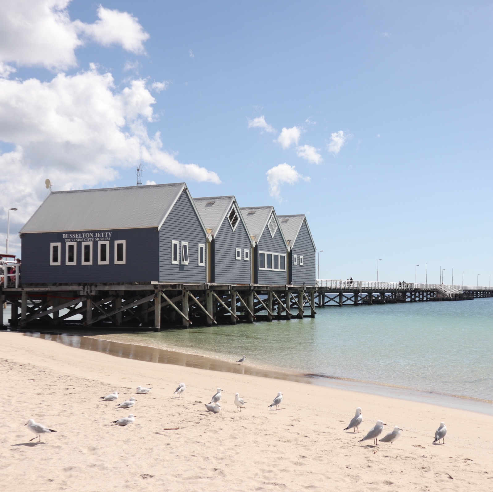 西澳景点✨打卡千与千寻小火车busselton jetty