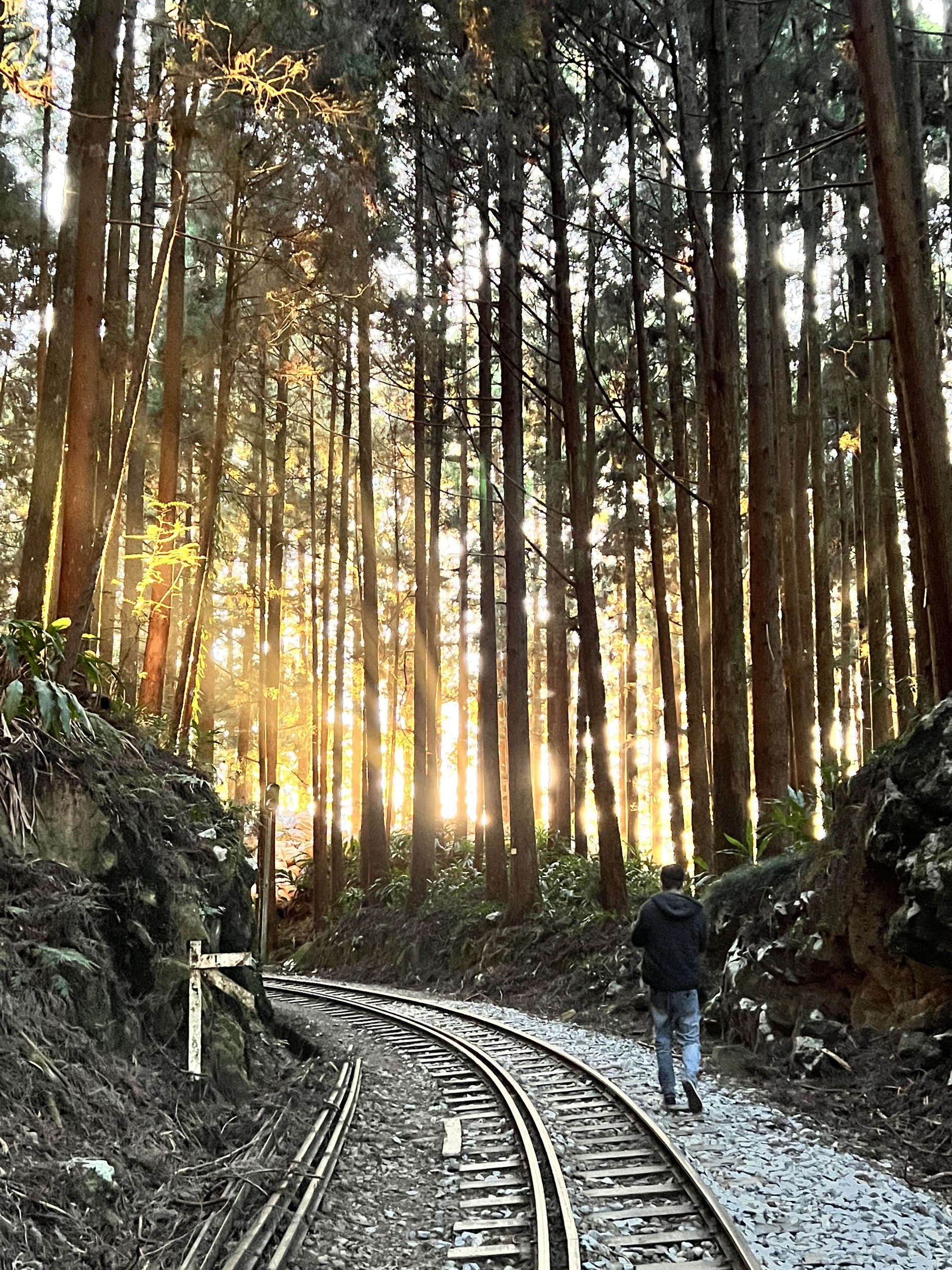 🛤️阿里山壮丽日落🌅