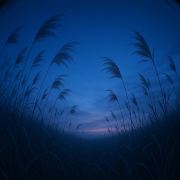 ✨背包客阿杰_7