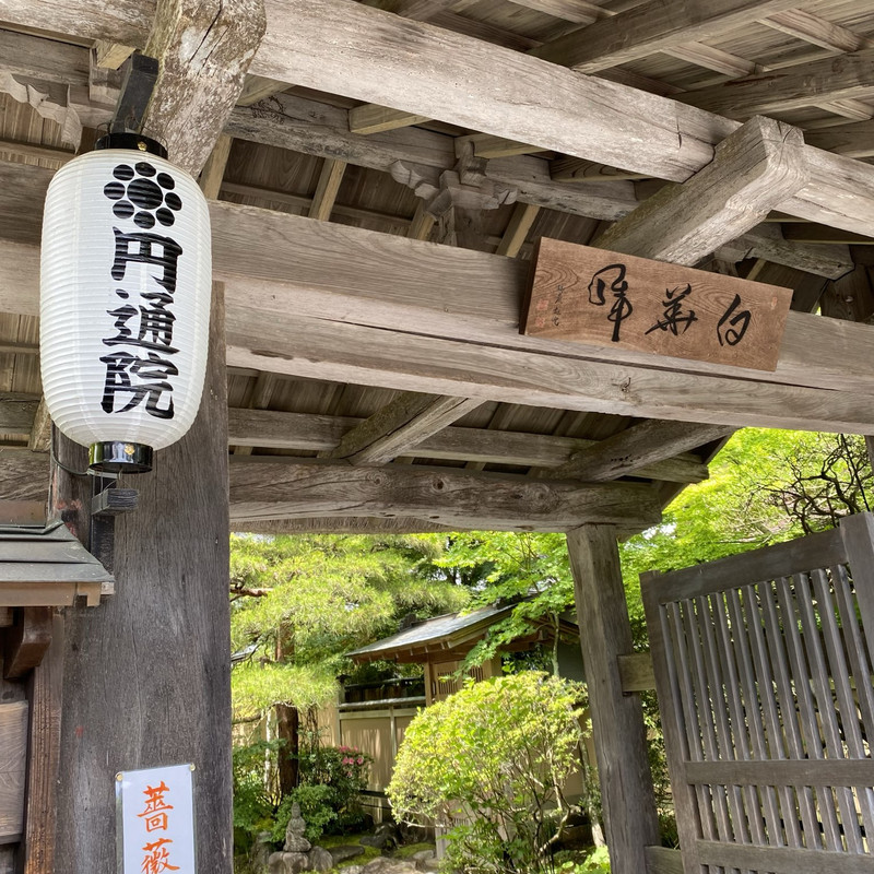 宫城松岛“圆通院”日本庭园美景