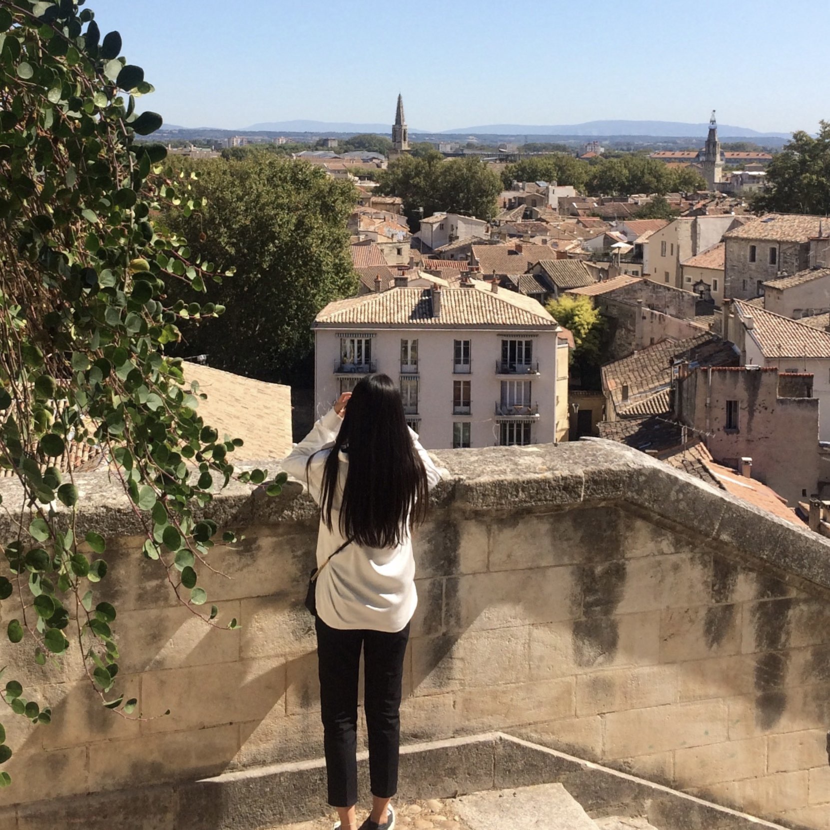 🇫🇷法国小城市阿维尼翁之旅