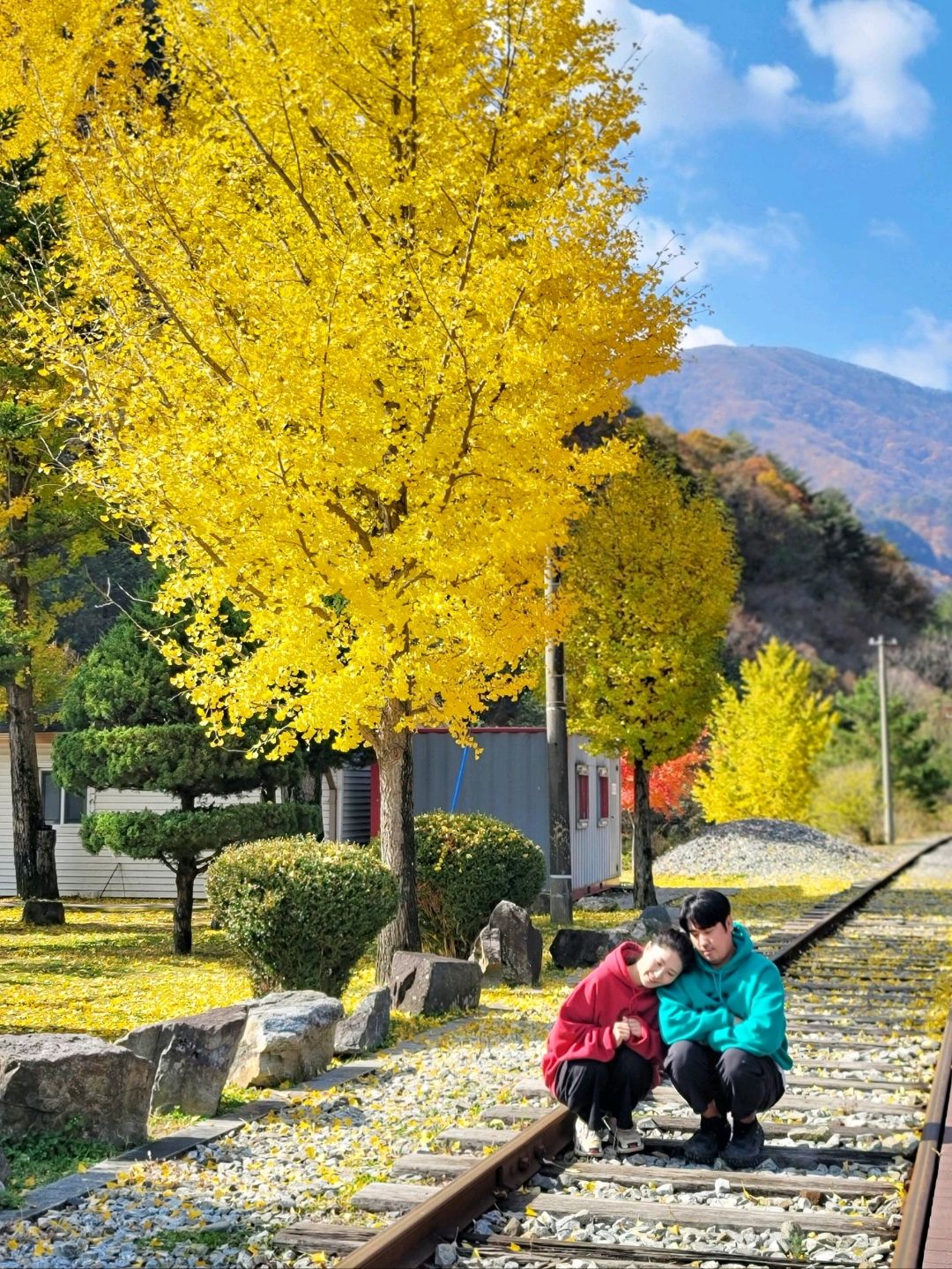 秋天来到了正善铁路自行车站🍁🍂💛