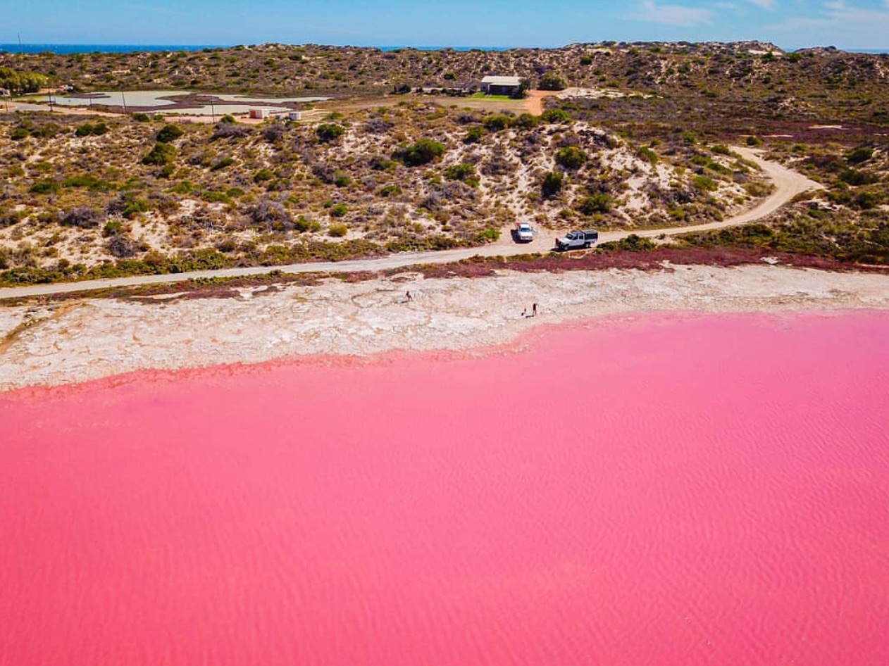 【澳大利亚】粉红湖泊Hutt Lagoon:梦幻景点,『上帝遗下的小玫瑰』