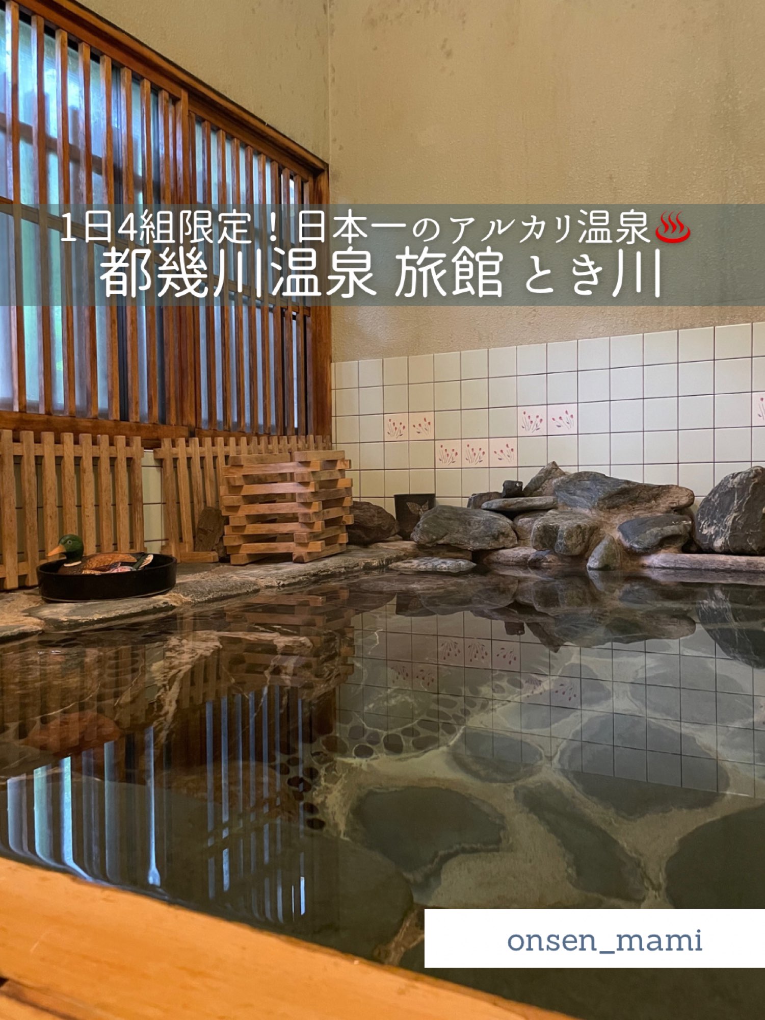 [埼玉都池川温泉]与浸泡在乳液中的相同♨️?日本最好的碱性温泉旅馆,每天只能容纳4组
