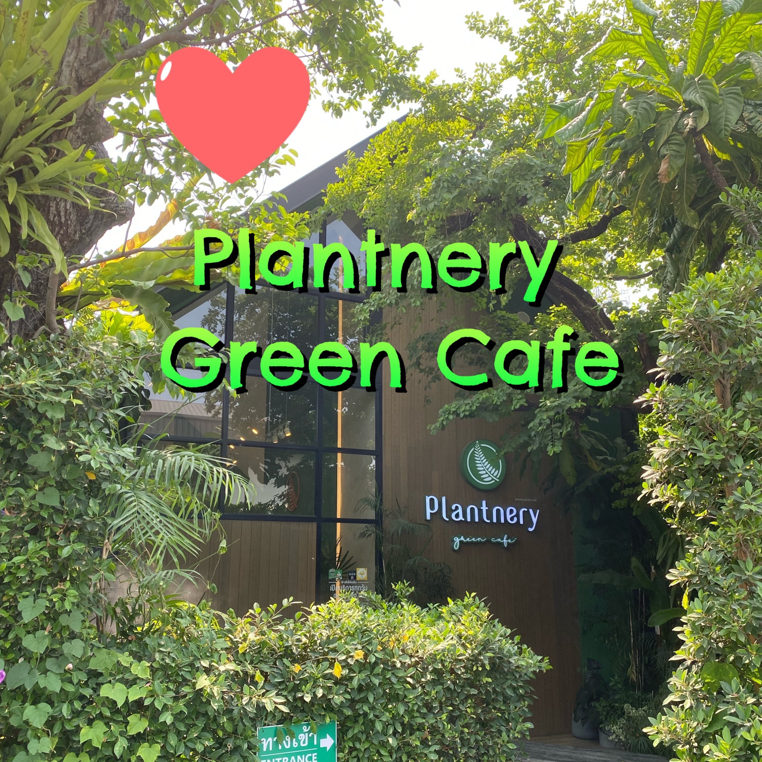 绿咖啡厅,气氛很好,植物园绿咖啡厅🍃
