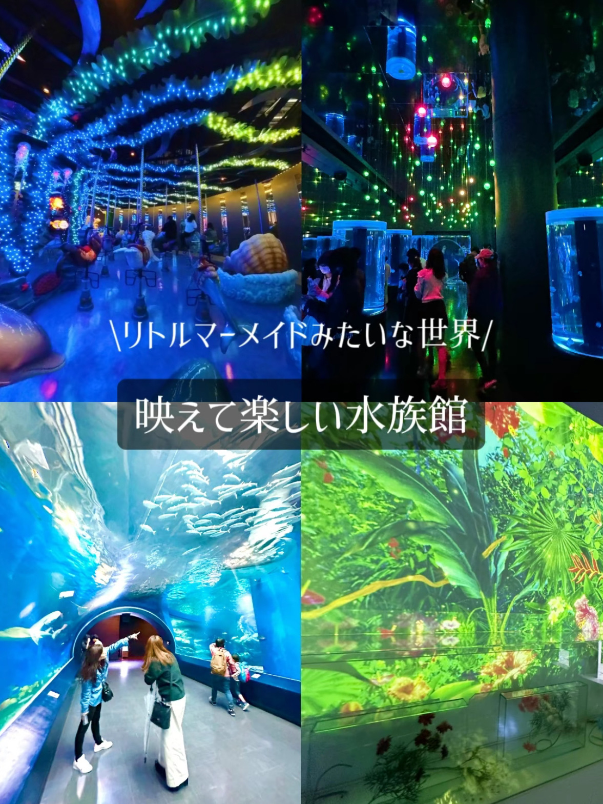 [东京] [品川] 小美人鱼数字艺术水族馆🌴🐬✨