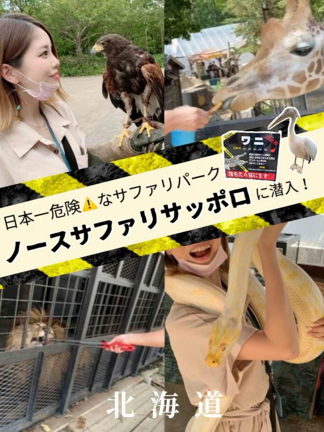 [📍札幌]日本最危险的野生动物园,随处可见。⚠️🚨