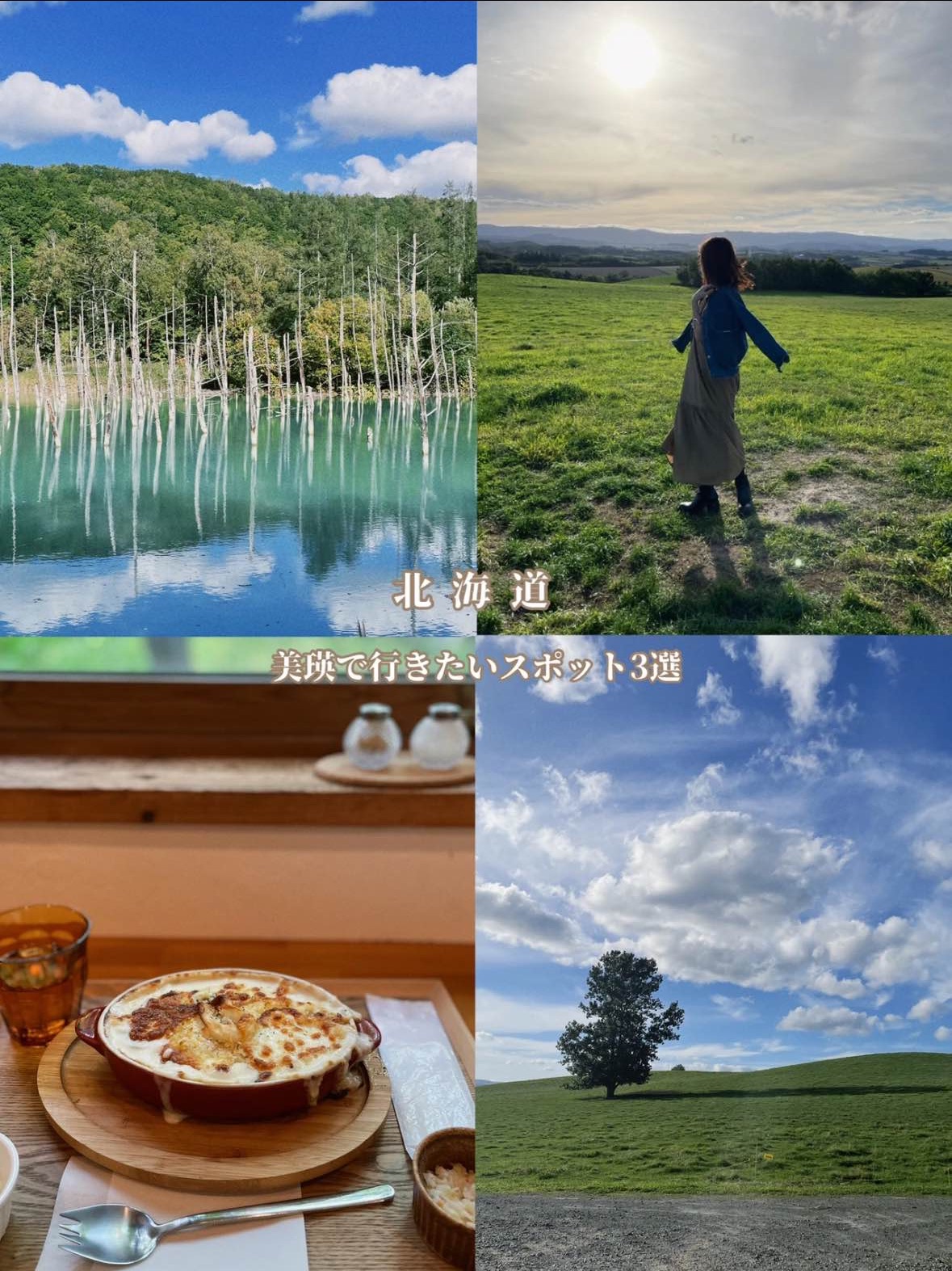 推荐给GW🧡想去美的3个景点☺️⁡🐄🌿‬🥛🥣 [北海道]