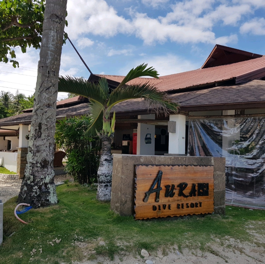 Aura Dive Resort,有专业潜水讲师的每月旅行