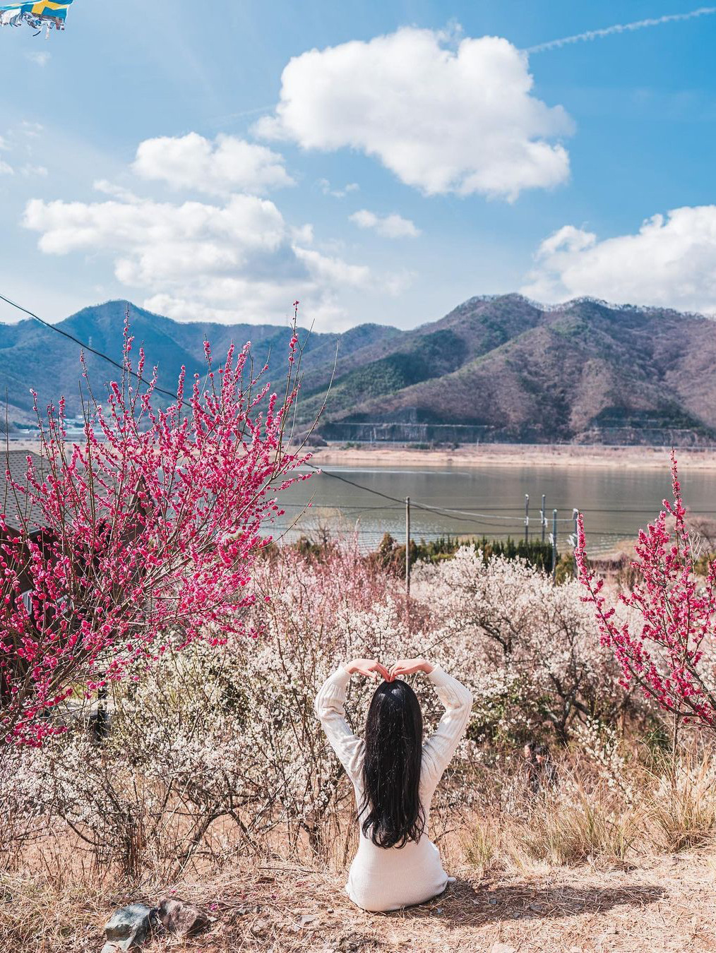 纯麦园🌸