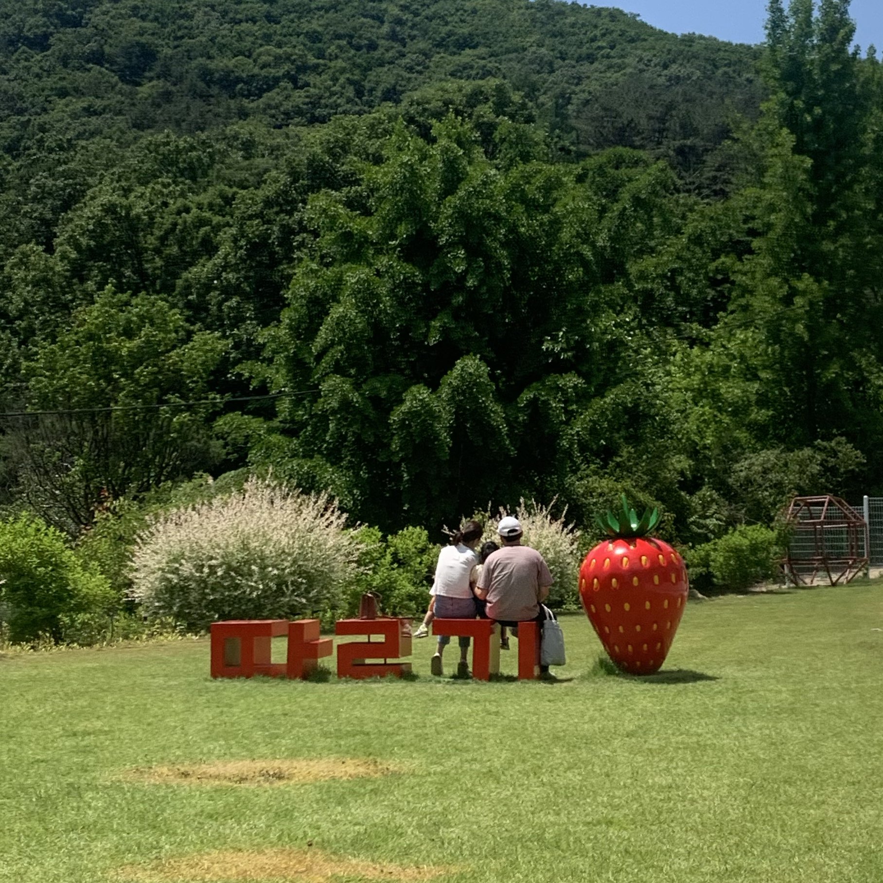 在首尔郊区的Yulpun植物园体验各种体验🍓