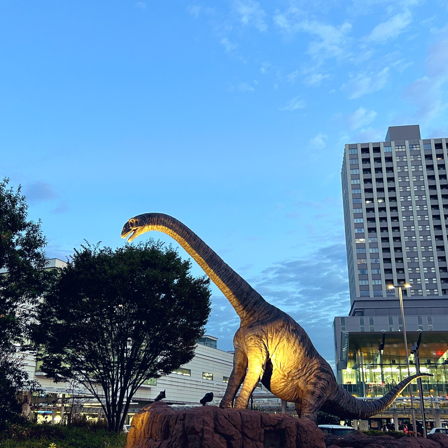 车站有恐龙!在福井站我推了太多恐龙哈哈