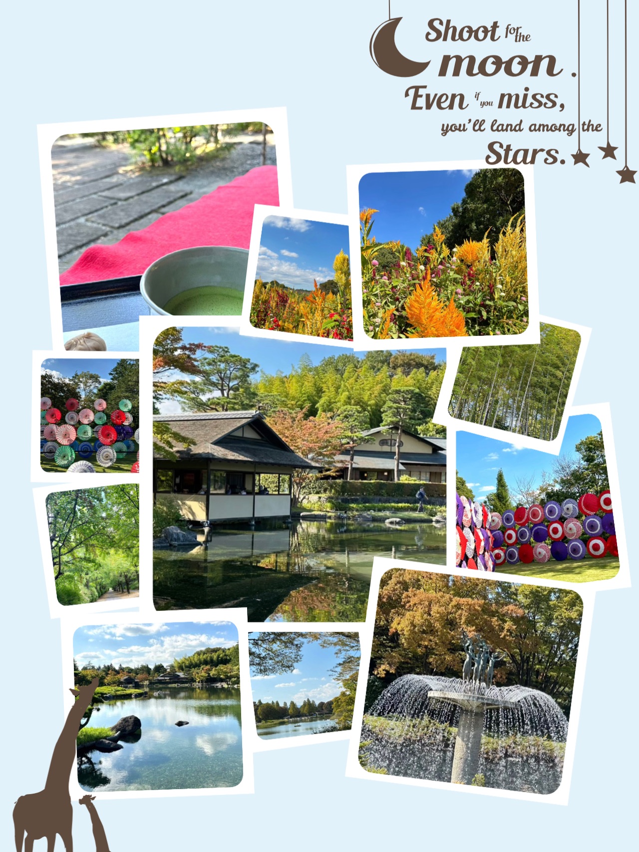 🌸🏞️🍵昭和纪念公园～自然的日式宝地🌸🏞️🍵