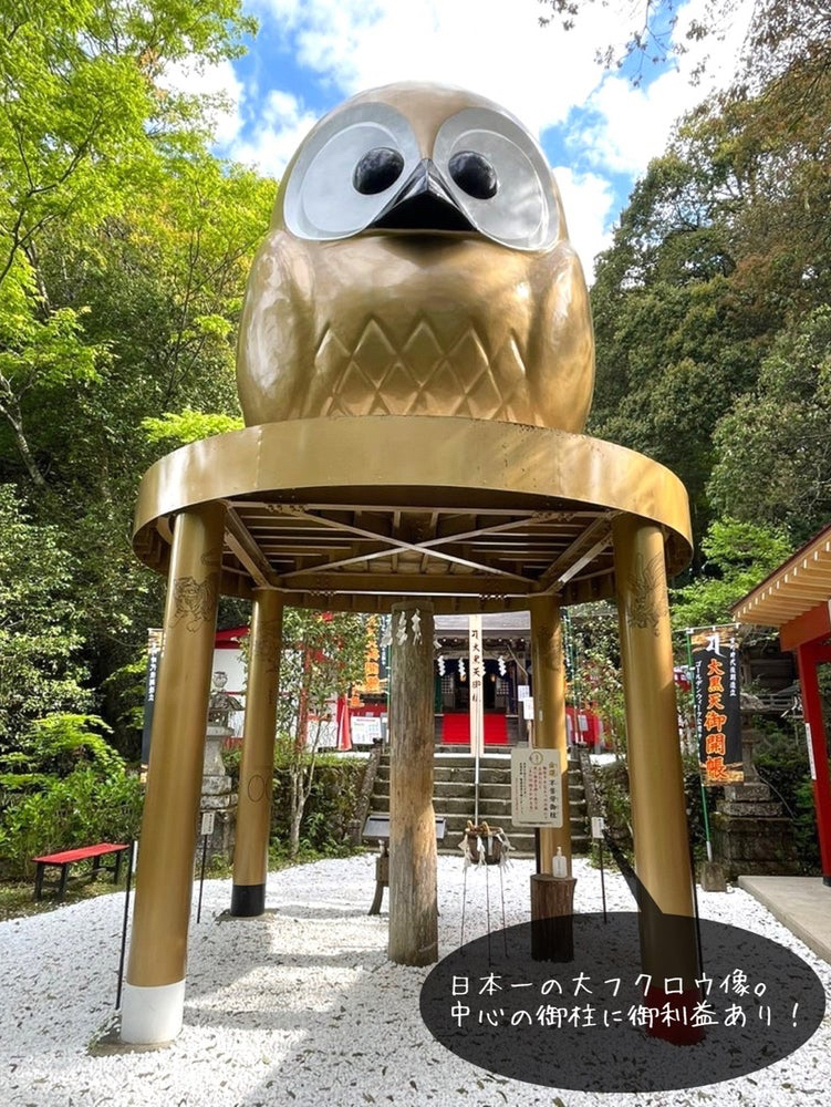 【栃木县茨城县/鹫子山上神社】日本第一的猫头鹰与县境的神社