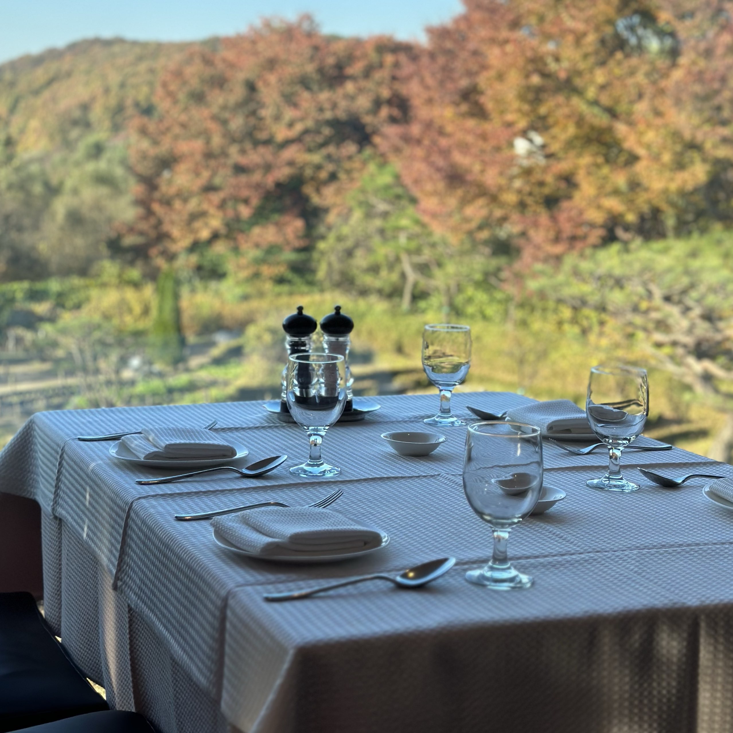 🌟首尔郊区美食之旅!白云湖旁的宁静氛围!去意大利餐厅!🌟